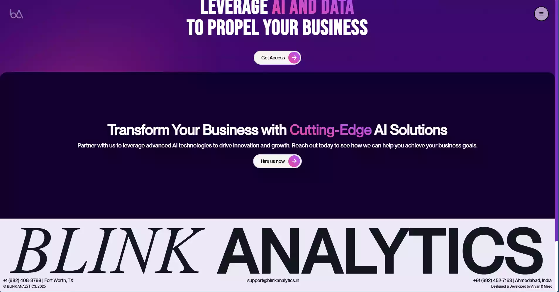 Blink Analytics screenshot 5